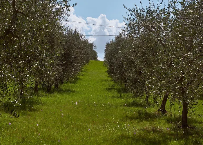Сasa de vacaciones Casa Maria